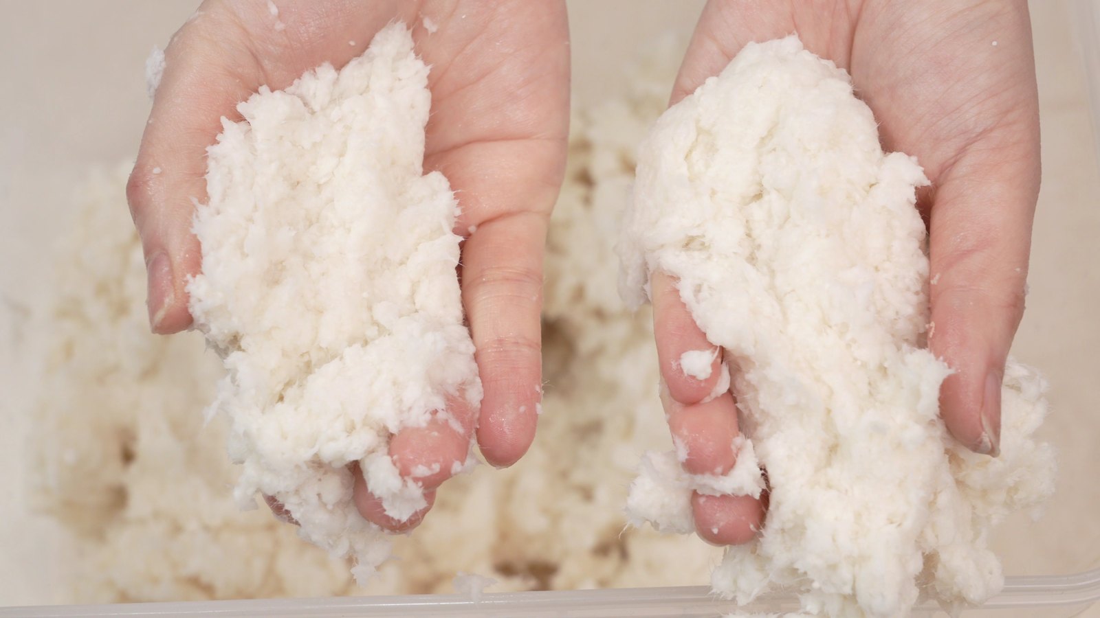 Mélange de fibres de coton et de cellulose Silk Plaster tenu dans deux mains